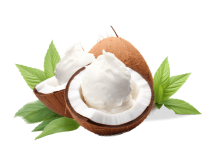Shea Butter