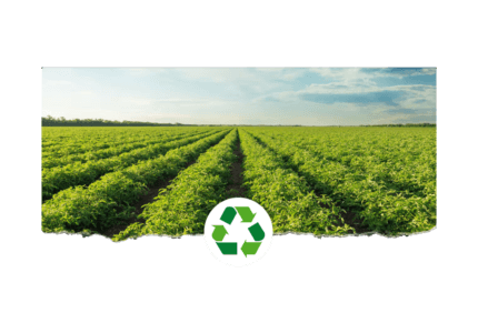 Sustainably Sourced