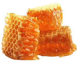 ng-transparent-beeswax-atakiuoti